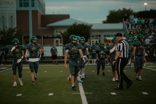 Uncovering and tackling pet allergies: a comprehensive guide for pet owners